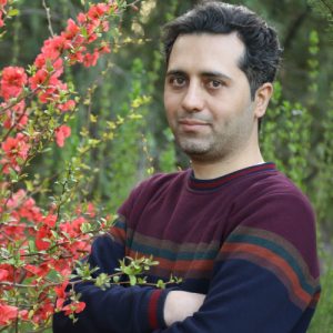 مهدی ملک احمدی